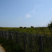 2013-07-08 13-26-54 2